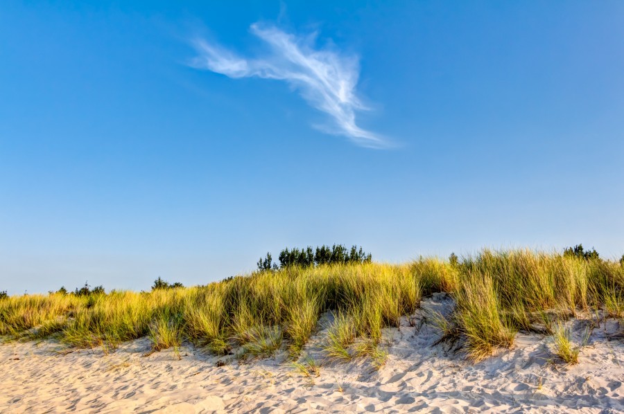 Quelles sont les activités proposées sur la plage nord de Lille pendant l'été ?